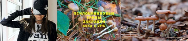 а пвп мука Балахна