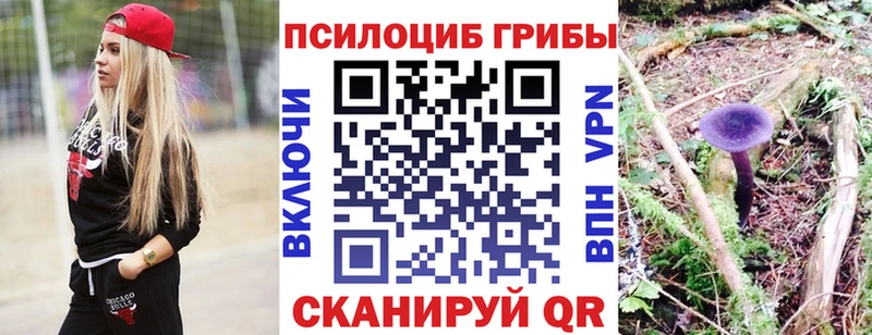 где можно купить mega ссылки Галлюциногенные грибы мицелий Буинск
